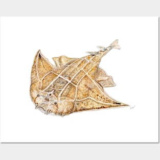 Angel shark Posters and Art